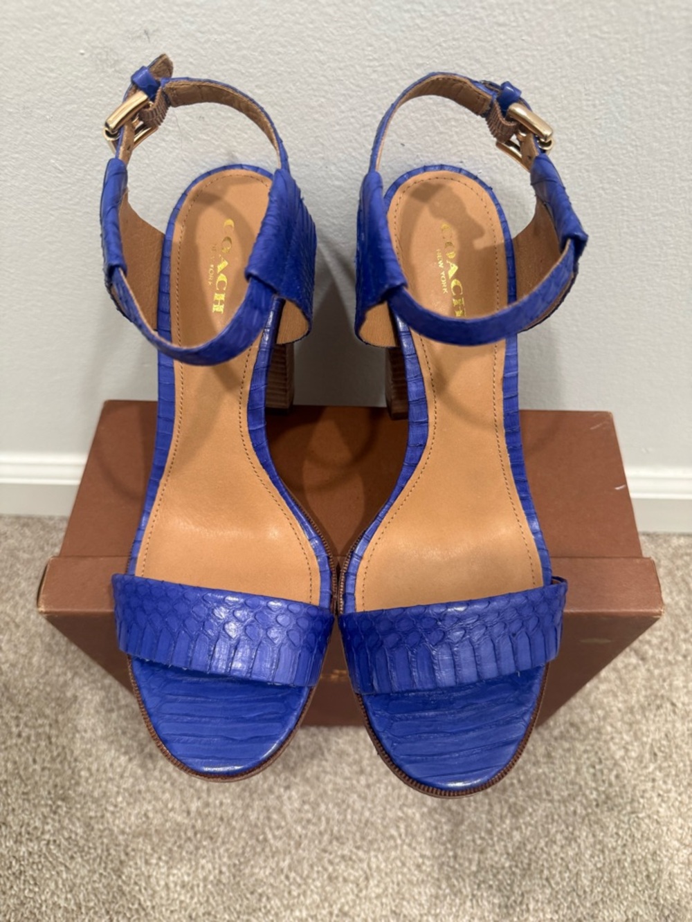 Coach Cobalt Blue Textured Leather Ankle-Strap Block Heels